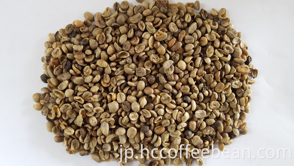 砕いた中国のコーヒー豆、グレードa ,, arabica tyye、新しい作物
